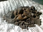 Antique Gargoyle Head 12  Cast Iron Medieval Bacchus Renaissance Heavy
