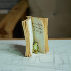 Miniature Fairy Garden And Terrarium Frog Hiding In Book Figurine