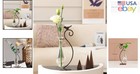 Elegant 4 3  Water Drop Vase For Hydroponics - Modern Bird Terrarium Design