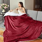 Sherpa Blanket Queen Reversible Soft Plush Sofa Bed Throw Blankets 90x90 Inches