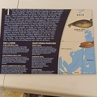 Vintage National Geographic Map  Pinnipeds  Around The World    1987