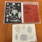 Stampin  Up  Gorgeous Leaves Stamp Set And Dies