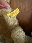 Steiff Brass Button Teddy Bear Plush  Medium 0201 5510  2001 