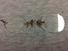 Antique Silva Pince Nez Gold Filled Eyeglasses W hairpin   Case