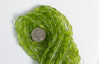 25 one Strand czech Olive Green Matt Finish  12x9mm  Oval Beads Pressed Glass