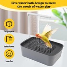 Muyg Automatic Parakeet Bath parrot Shower Fountain With Usb Power Plug Indoo   
