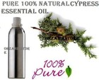  Cypress Essential Oil Pure 100  Natural Therapeutic Aromatherapy Choose Size