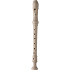 Lyons Soprano Recorder Valu Bndl 25pk Ivory