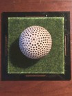 Very Rare Craig Park 27 1 2 Bramble Signature Golf Ball 1891