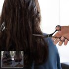 Hair Cutting Scissors 6 5  Stainless Steel Barber Shears For Home  Salon    Pets