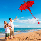Joyin Dragon Kites For Kids And Adults  Easy To Fly Large Single Line Kite For K
