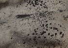 New Cowhide Rugs Area Cow Skin Leather 29 33 Sq feet  66 x64   Cow Hide U-1152