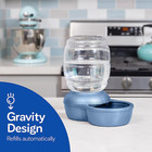 Replendish Gravity Waterer Cat And Dog Water Dispenser 0 5 Gal  Blue  Made In Us