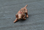 Miniature Antique Austrian Vienna Cold Painted Bronze Figure Of Foxhound Dog