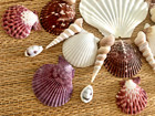 Beautiful Purple   White Medley Of Sea Shells - 33 Pieces