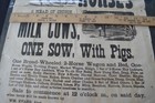1884 Broadside Lancaster County Pa Horses Auction At East Hempfield Township
