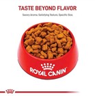 Royal Canin Breed Health Nutrition Boxer Adult Dry Dog Food  30-lb Bag
