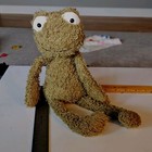 Jellycat Wild Thing Frog Collectible 2021