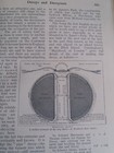 Decoys Decoymen Wildfowl Rare Old Antique 1909 Article Hardwick Trap Friskney