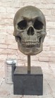 Skull Sculpture Statue Figure Skeleton Head All Metal Bronze No Resin Figurine