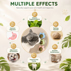 3pcs Natural Catnip Kitten Mint Balls Safe Healthy Teeth Cleaning Dental Cat Toy
