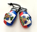 Haiti Flag  Mini Boxing Gloves Country Pride Flag Car Truck Auto Gift