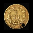 1859-p  1 Gold Indian Princess Holed Necklace Ready