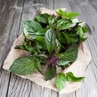 500   Thai Basil Seeds  ocimum Basilicum    Non- Gmo   Heirloom Seeds - Usa Ship