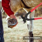 8 Piece Farrier Tool Kit  14 Inch Horse Hoof Trimming Tools Include Hoof Knif   