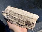     rr        Rough Arizona Petrified Wood W druzy Quartz  4 5 Lb 