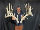 213    Set Whitetail Deer Sheds Antlers Taxidermy Mount Cabin Decor Buck Horns