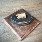 Real Horse Tooth Decorative Wall Plaque Wood Rustic Wall Mounted Hanging Art 9x9