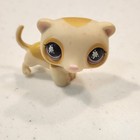 Littlest Pet Shop Ferret 653 Yellow   Tan With Purple Splatter Eyes Rare 
