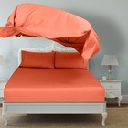 2 Pack Bulk Flat Sheet Set - Top Sheets - Soft 1800 Microfiber - Wrinkle   St   