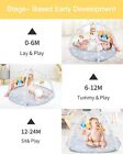 Baby Gym Play Mat  Musical Activity Center Kick Piano Gym Tummy Time Toys