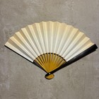 Fan  Antique Fan  Near Mint Condition  Beautifully Preserved