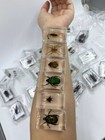 40 Pcs Insect In Resin Specimen Bugs Collection For Educational Real Insect Lot