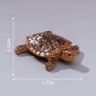 5pcs Aquarium Floating Resin Turtle Figurines  Mini Brown Tortoise Ornaments
