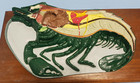 Vintage Carolina Biological Supply Company Lobster Anatomy Model Display