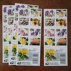 2023 - 20 Forever First Class Letter Stamps Snowy Beauty Mnh Book Pane 