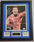 Custom Frame Your Wwe Wwf Wrestling 8x10 Hulk Hogan Undertaker Roman Reigns 1 1