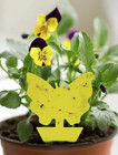 10pcs Pp Insect Trap Plate Yellow Butterfly Shaped Bug Trap Plate For Garden New