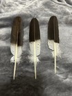 Native American Hand Painted Golden Eagle Feathers