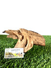 Malaysian Driftwood For Aquarium Fish Tank  Reptile Natural Pet Safe -m 12x6x4