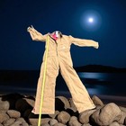 Vtg Carhartt Quilt Lined Coveralls Ufcw Union Made In Usa X01 Brn 34 Short Nwt
