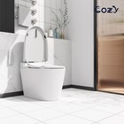 Cozy Smart Toilet Wh07  Auto Flush  Auto Lids  Instant Heat  Dryer  Side Knob
