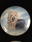Yorkie Yorkshire Terrier Set Of 8 Collector Plates Limited Edition Danbury Mint