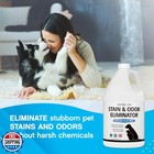 Nonscents Stain And Odor Eliminator - Pet Odor And Stain Remover For Dog And 