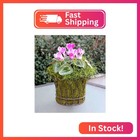 Supermoss  26907  Spanish Moss Preserved  Grass  4oz  120 Cubic In Bag  appx  4o