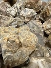 Crazy Lace Agate  Rough Lace Agate From Summerville Ga 10lbs Lot